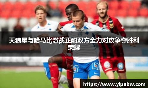 天狼星与哈马比激战正酣双方全力对攻争夺胜利荣耀