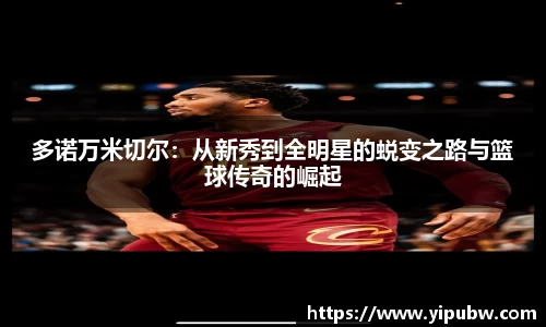 bsports官网入口