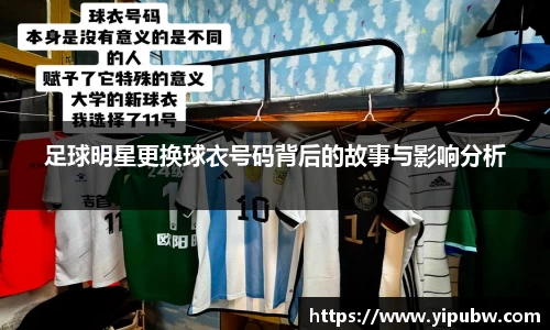 bsports官网入口